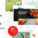 Broxi – Organic & Food WooCommerce WordPress Theme