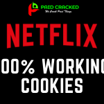 Netflix Cookies